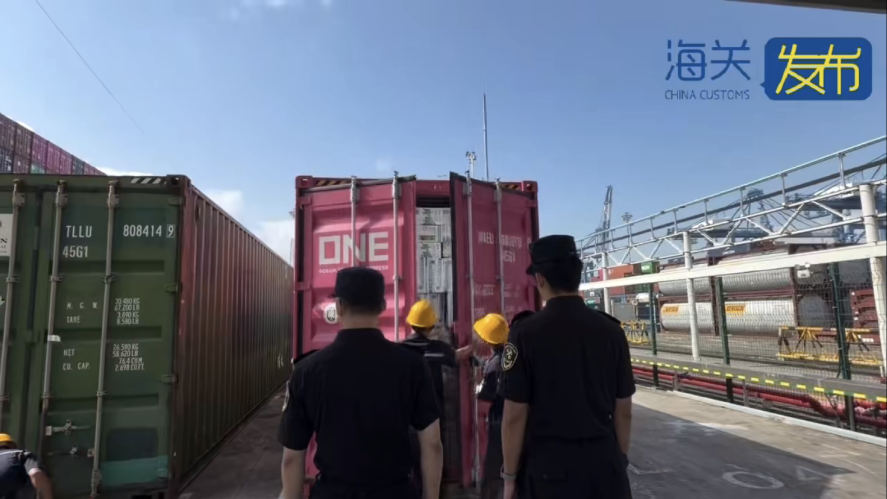 夹藏!深圳海关在一ONE集装箱内查获危险品!