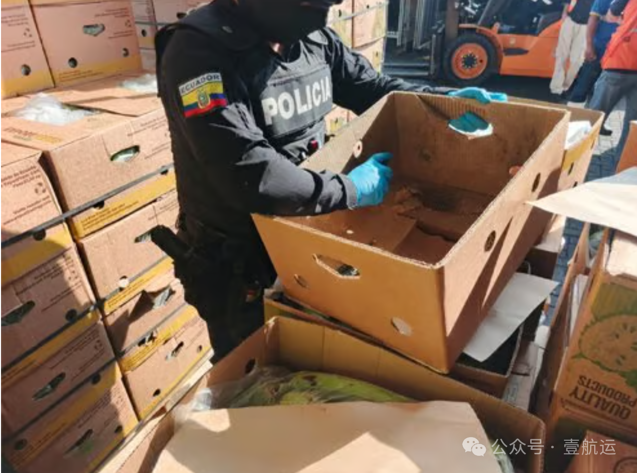 纸箱卡板藏毒!警方在被扣集装箱里新发现