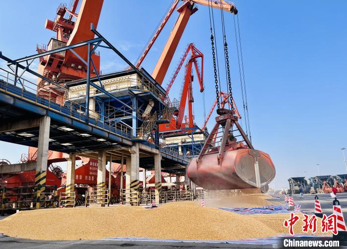 中国首次散船进口巴西玉米 输华走廊正式打通