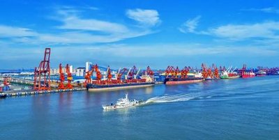 港口区经济发展交出亮眼“答卷”